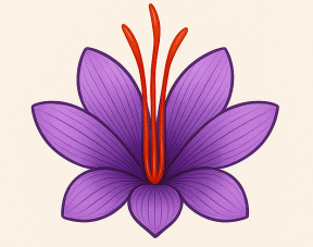 Logo-Rumi -Saffron